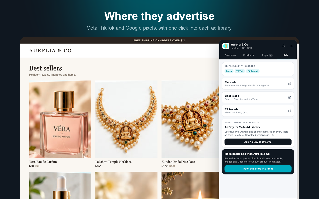 Store Spy ads tab with pixels and ad library links