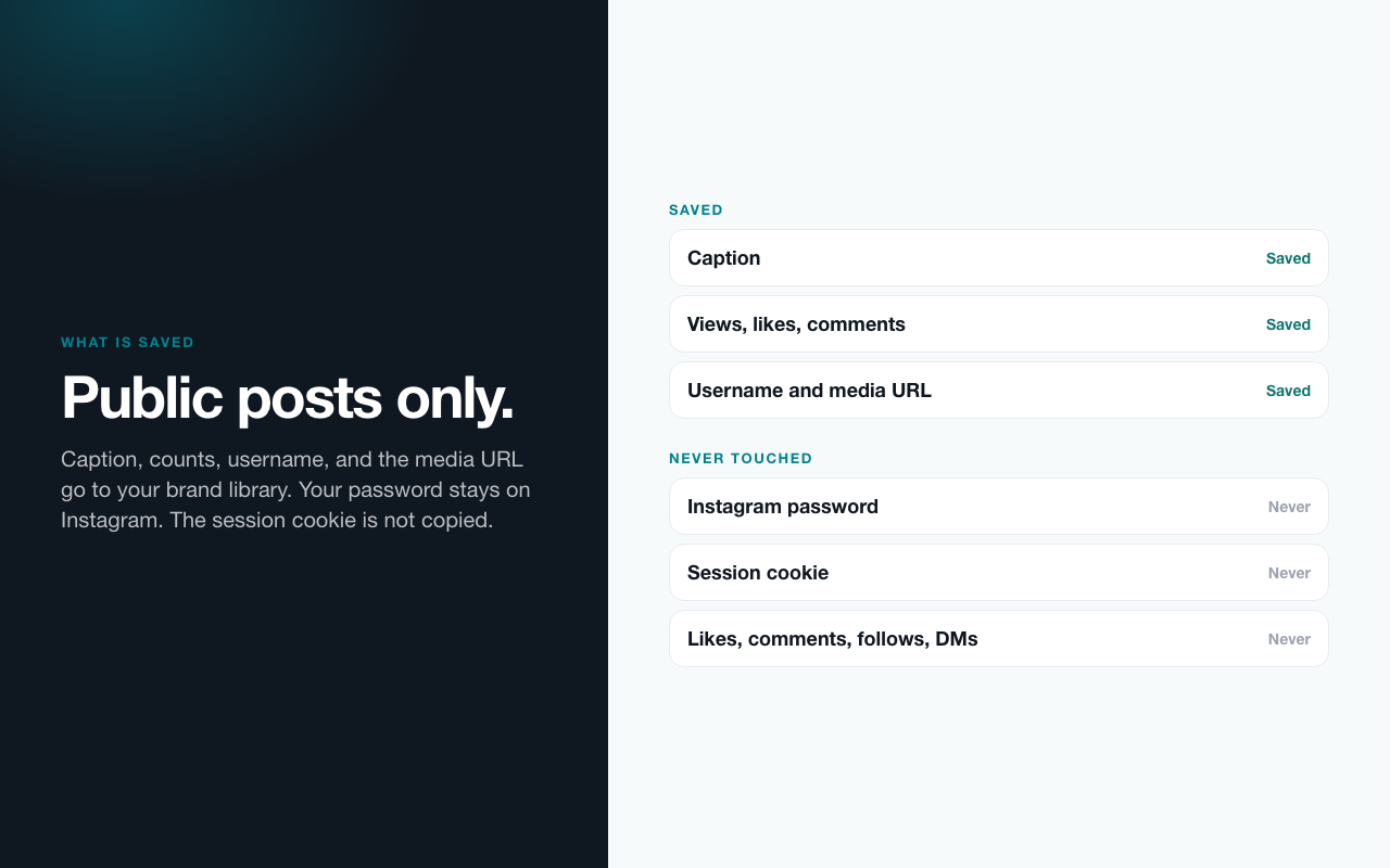 List of what Viral Spy saves (caption, counts, username, media URL) and what it never touches (password, session cookie, likes, comments, follows, DMs)